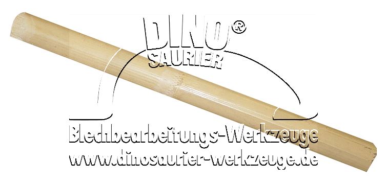 Dinosaurier-Werkzeuge Shop