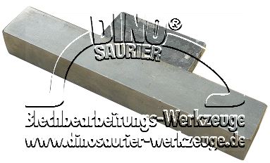 Dinosaurier-Werkzeuge Shop